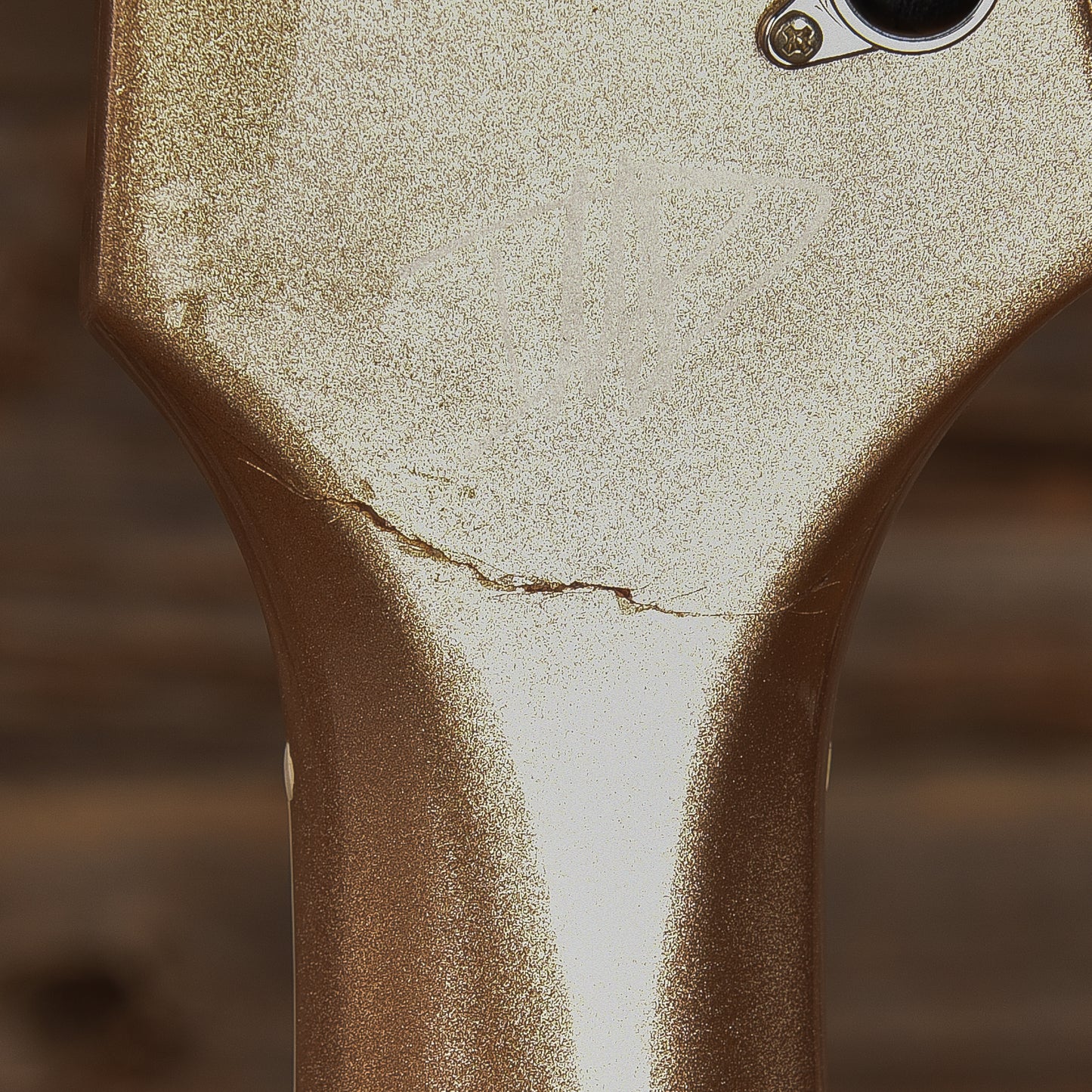 Gibson Dave Grohl Signature DG-335 Gold 2014