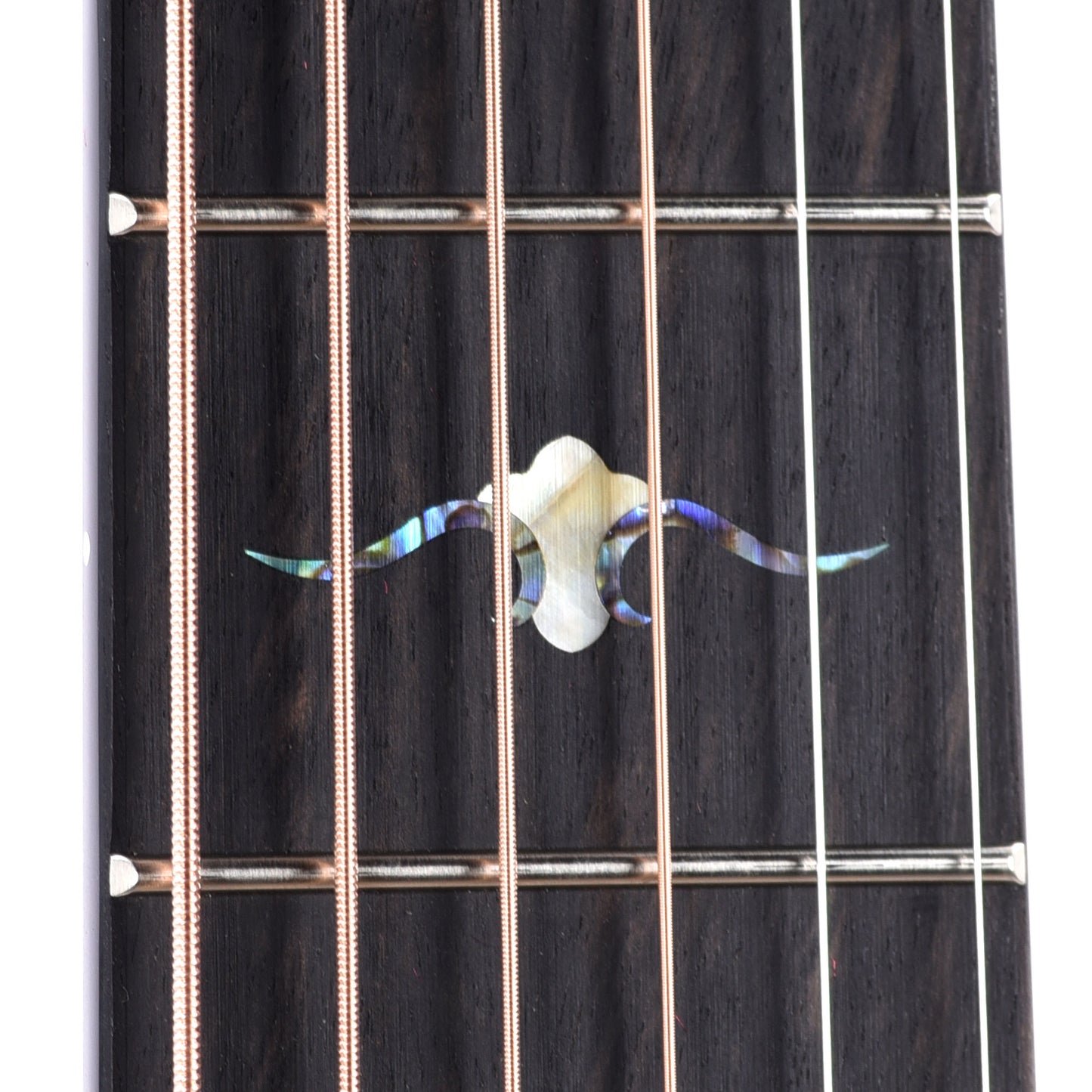 Taylor Custom "The Catch" NAMM 2024 #33 C17e Grand Pacific Torrefied Sitka/Bocote Aged Toner