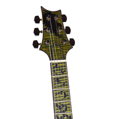 PRS Private Stock #11767 Paul's Guitar Curly Maple/African Mahogany Rainforest Glow w/Stained Neck/Fingerboard & Birds of a Feather Inlay