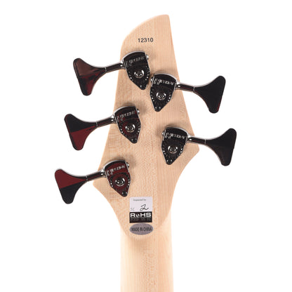 Dingwall NG3 Adam "Nolly" Getgood Signature 5-String Gloss Black Forrest Green