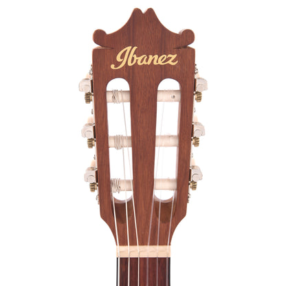 Ibanez GA1OAM Acoustic Guitar Open Pore Amber