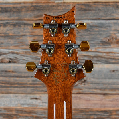 PRS 509 10-Top Purple Iris 2021