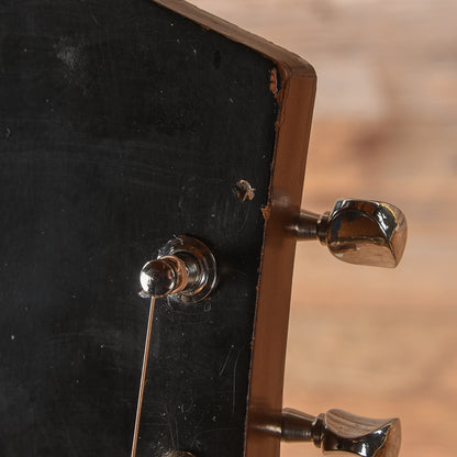 Silvertone 1221 Natural 1971