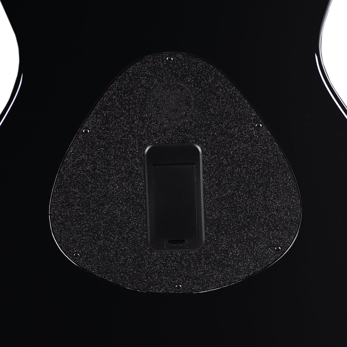 Taylor Custom "The Catch" #27 NAMM 2025 T5z Figured Maple/Urban Ash Antique Blond w/Black Back