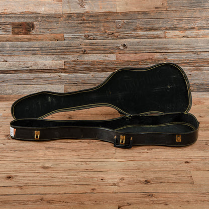 Sterling by Music Man SUB Series StingRay 5-String Walnut Stain 2012