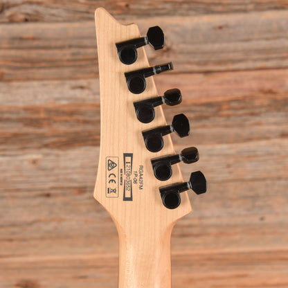 Ibanez RGA42FM Standard Transparent Green 2021