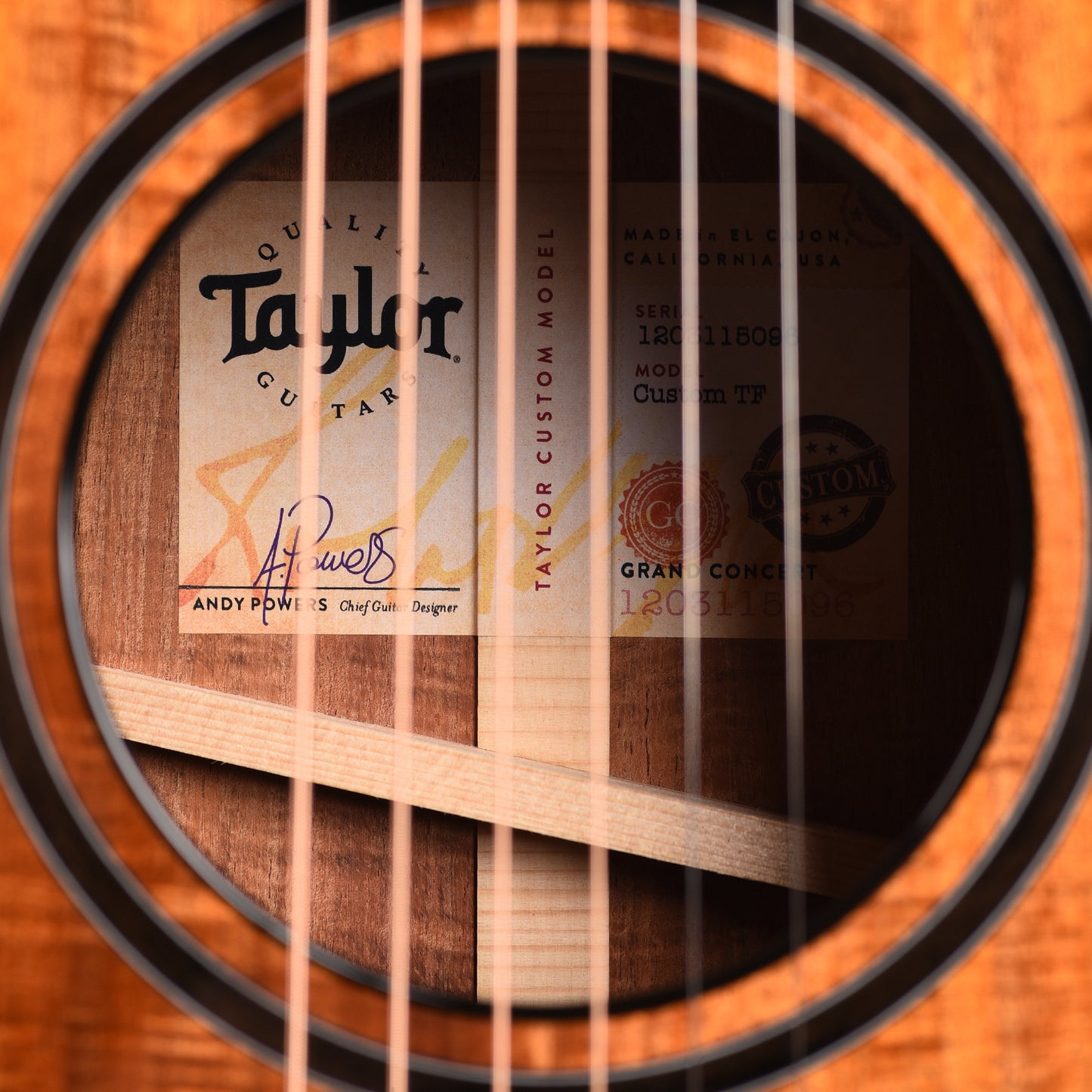 Taylor Custom Grand Concert 12-Fret Tasmanian Blackwood Antique Blonde w/Engraved Twist & Ocean Vine Inlays