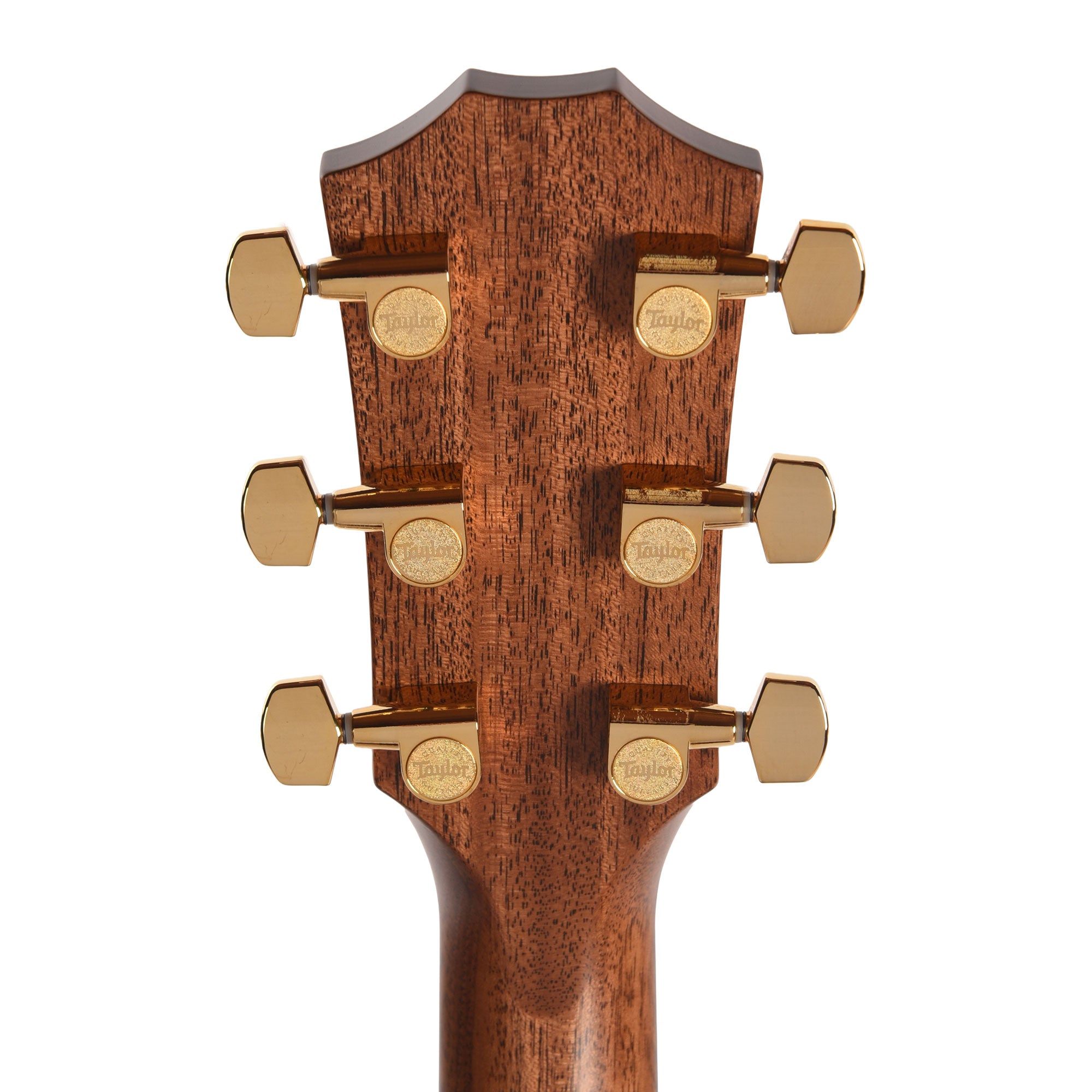 Taylor Legacy Collection 514ce Grand Auditorium Cedar/Mahogany Natural
