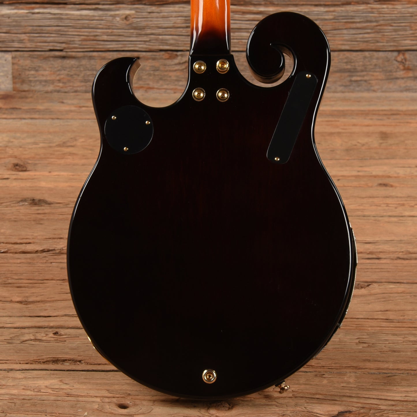 Gold Tone EBM-5 ELectric Banjo