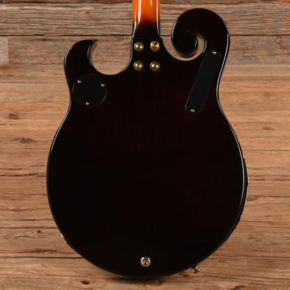 Gold Tone EBM-5 ELectric Banjo