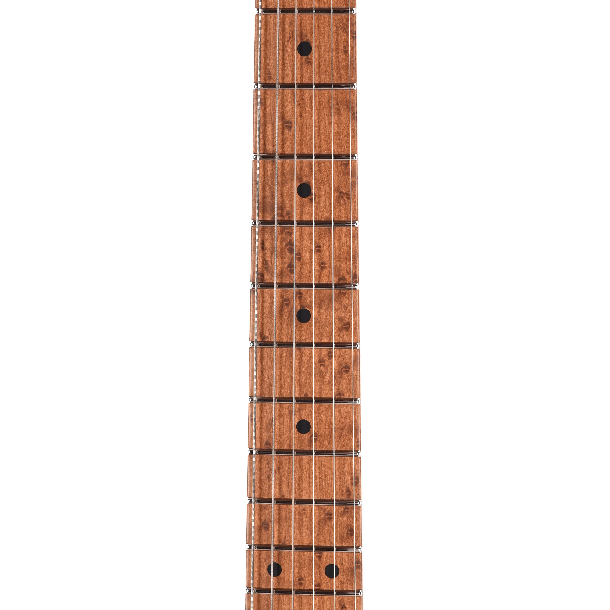 Suhr Custom Modern T Trans Algae w/CME-Selected Burl Maple Top