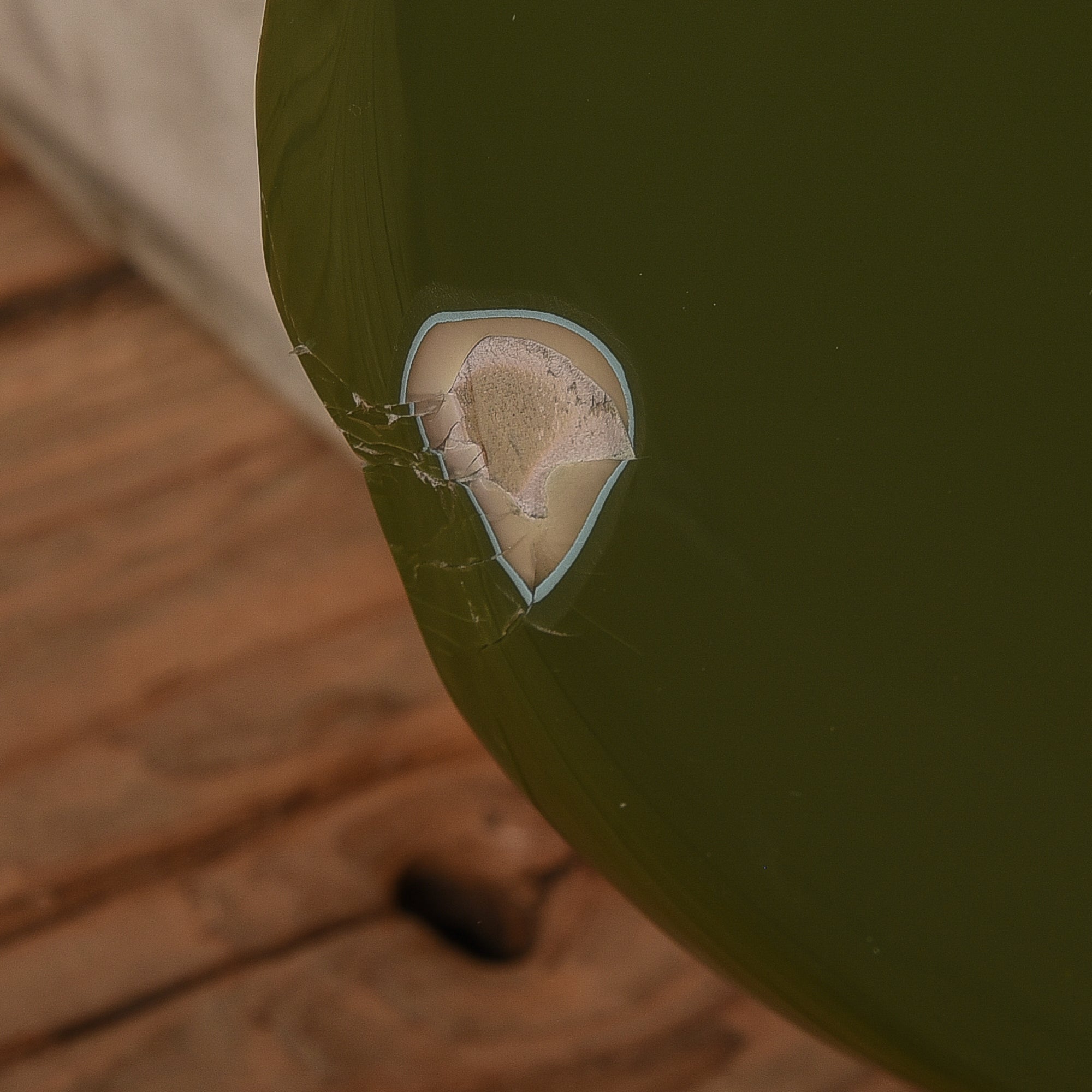 Squier Classic Vibe '60s Jazz Bass Olive