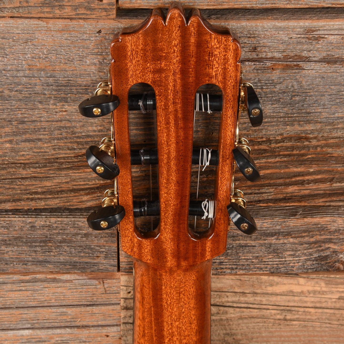 Cordoba C10 Cedar Natural