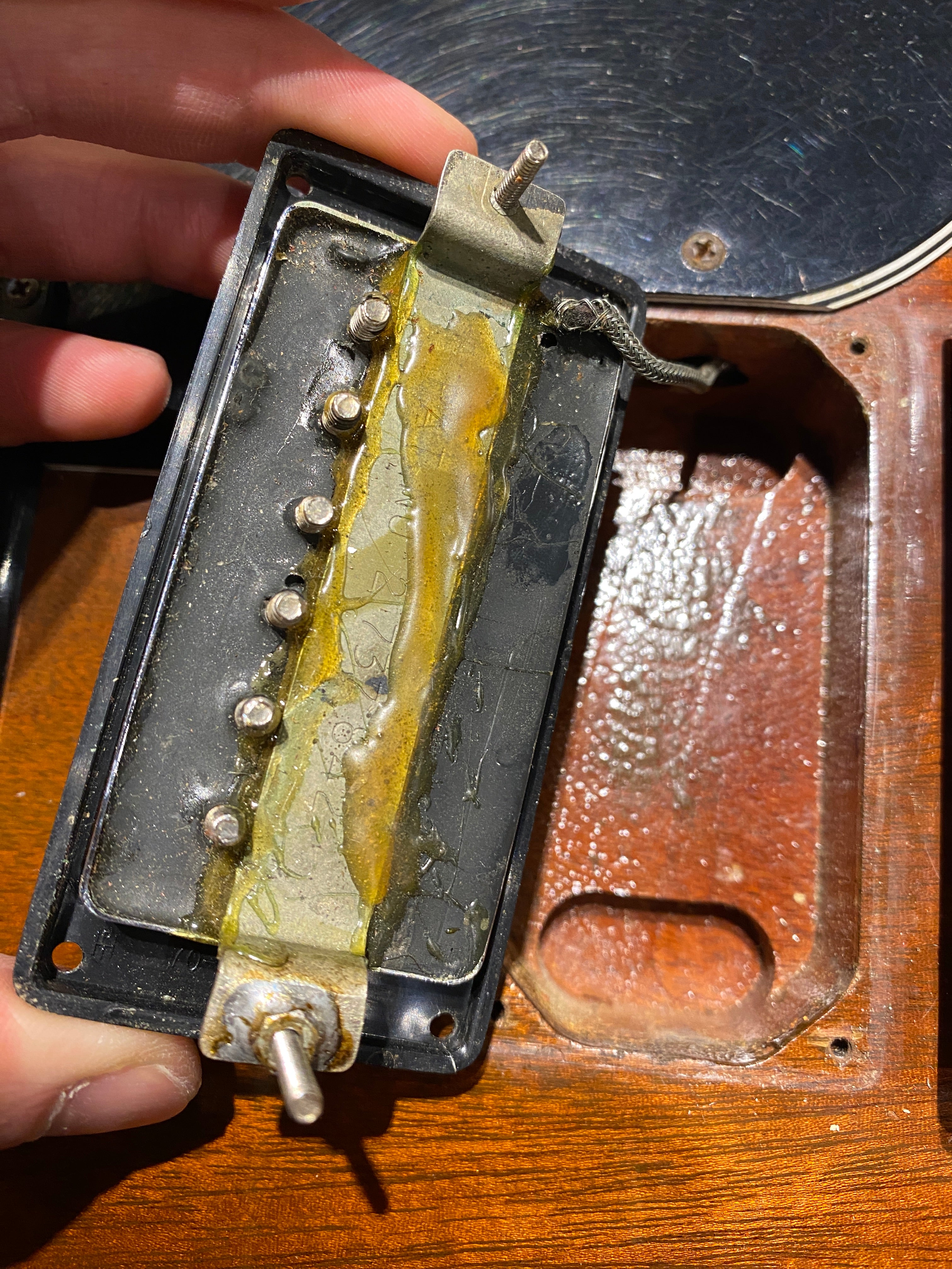 Gibson SG Standard Walnut 1976