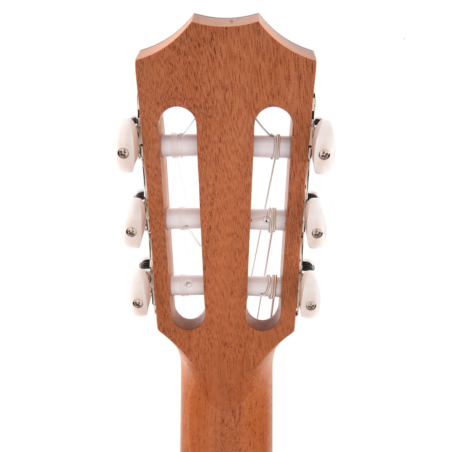 Taylor 212ce-N Plus Grand Concert Torrefied Sitka/Rosewood Natural ES-N