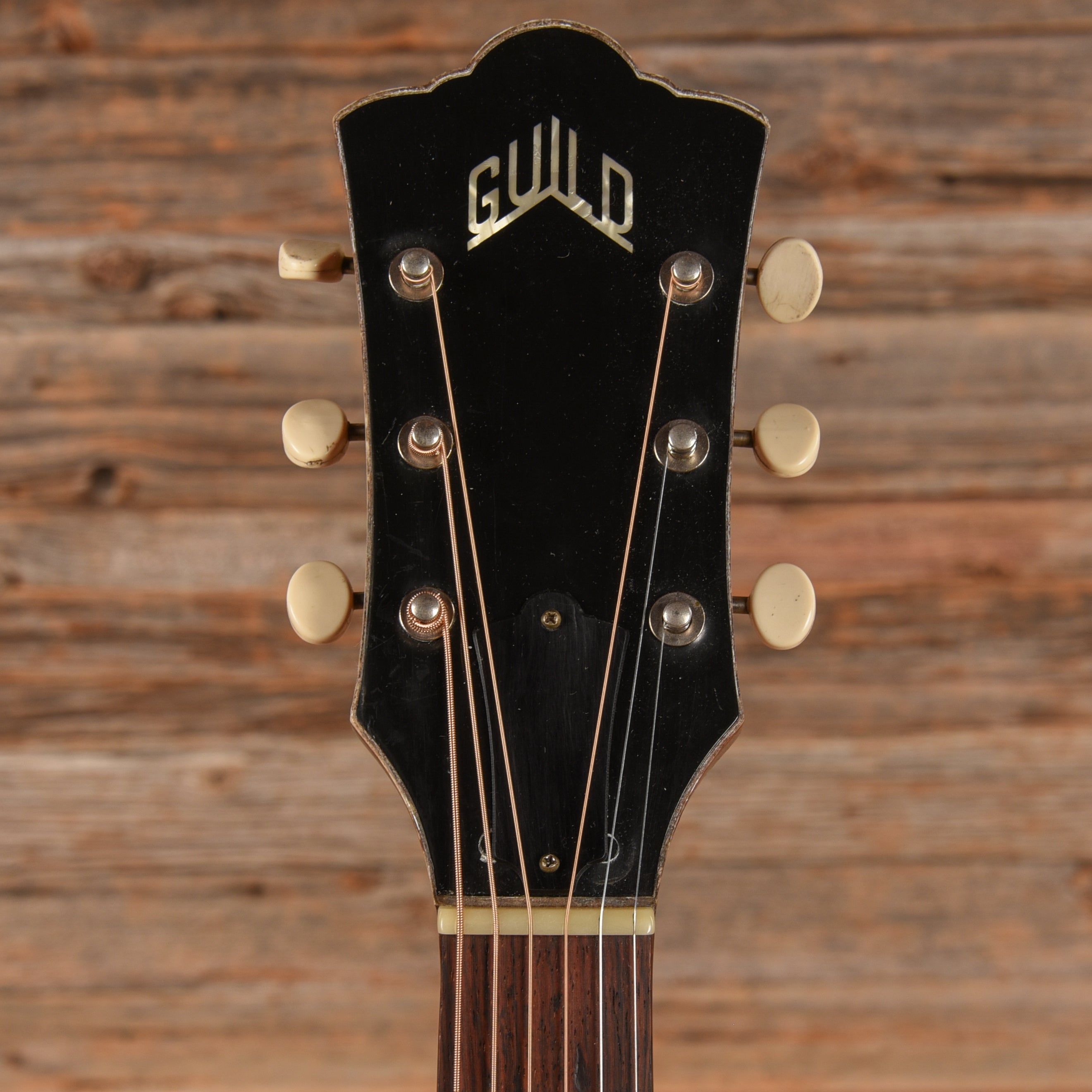 Guild M-20 Brown 1965