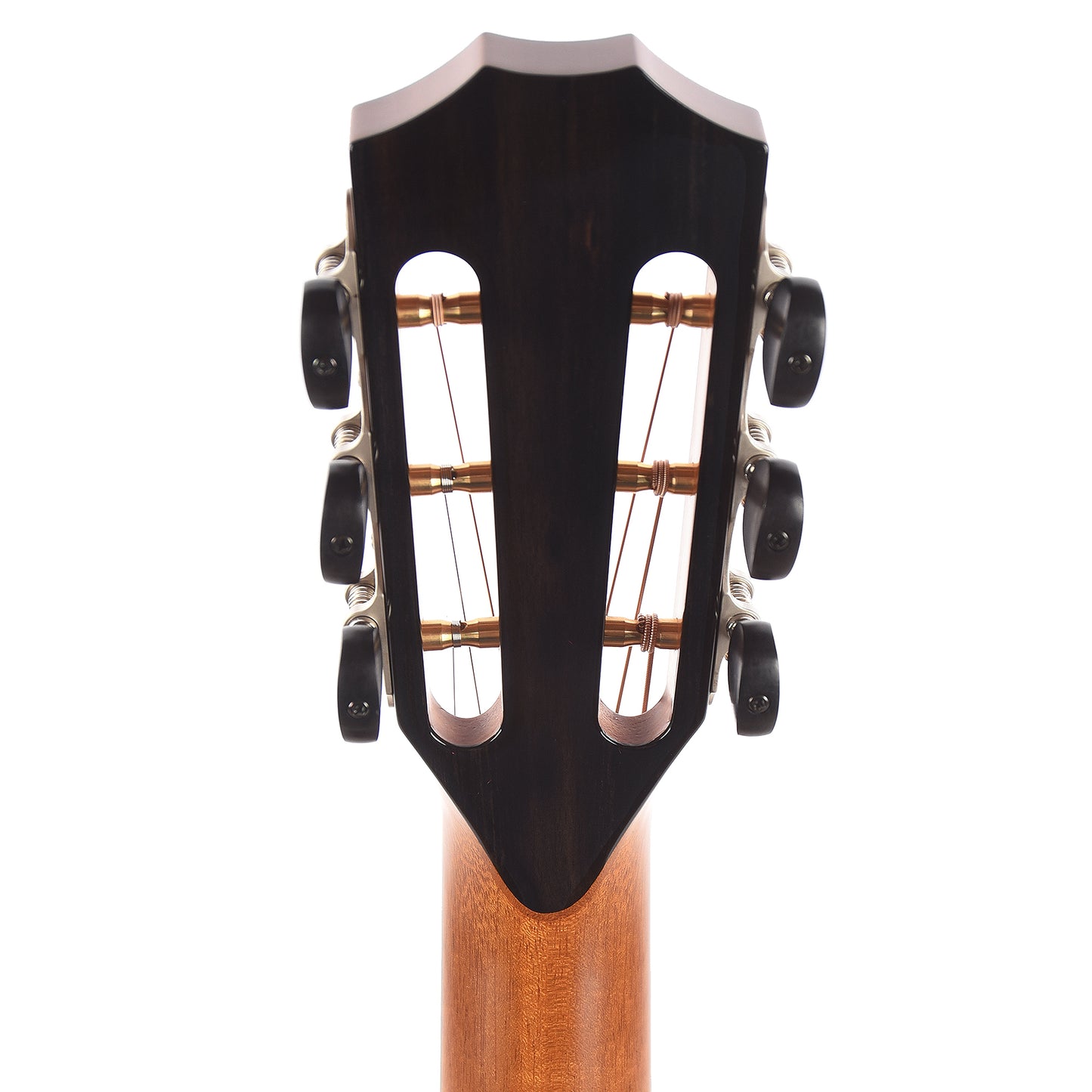 Taylor Custom Grand Concert 12-Fret Tasmanian Blackwood Antique Blonde w/Engraved Twist & Ocean Vine Inlays
