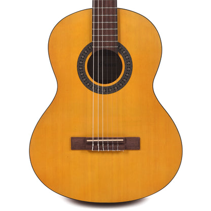 Ibanez GA2OAM Acoustic Guitar Open Pore Amber