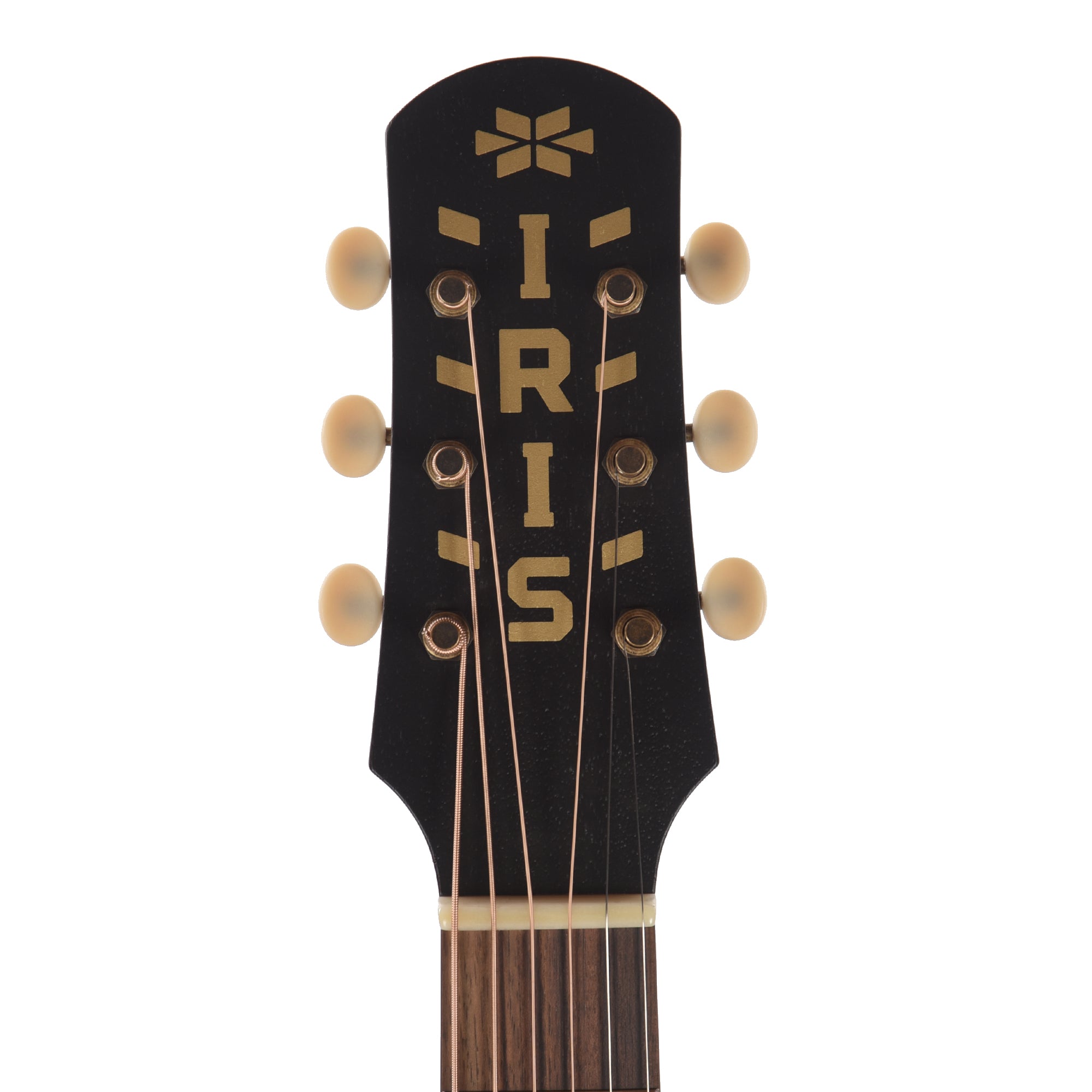 Iris MS-00 Sitka/Mahogany Black Top w/Ivoroid Pickguard