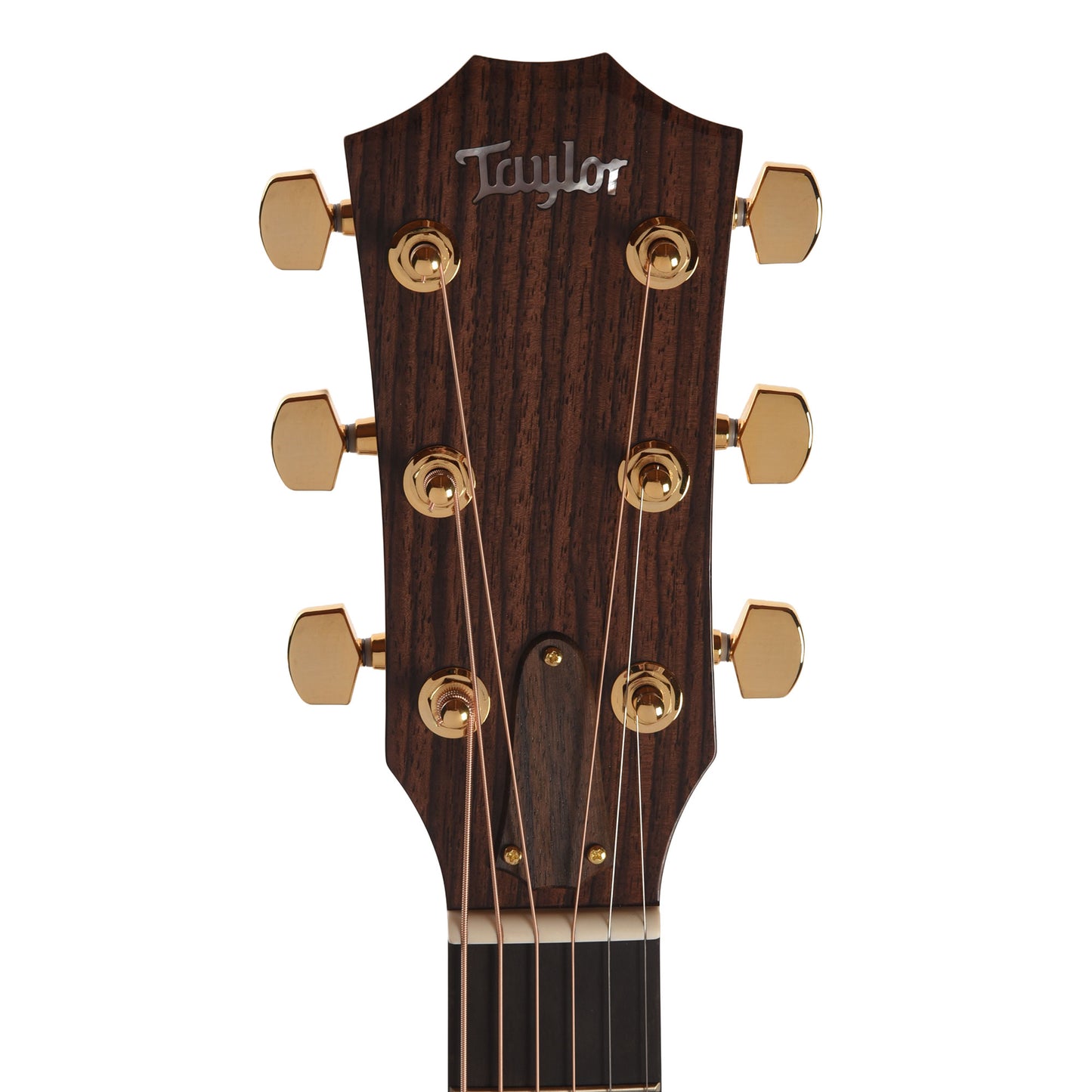 Taylor Legacy Collection 514ce Grand Auditorium Cedar/Mahogany Natural