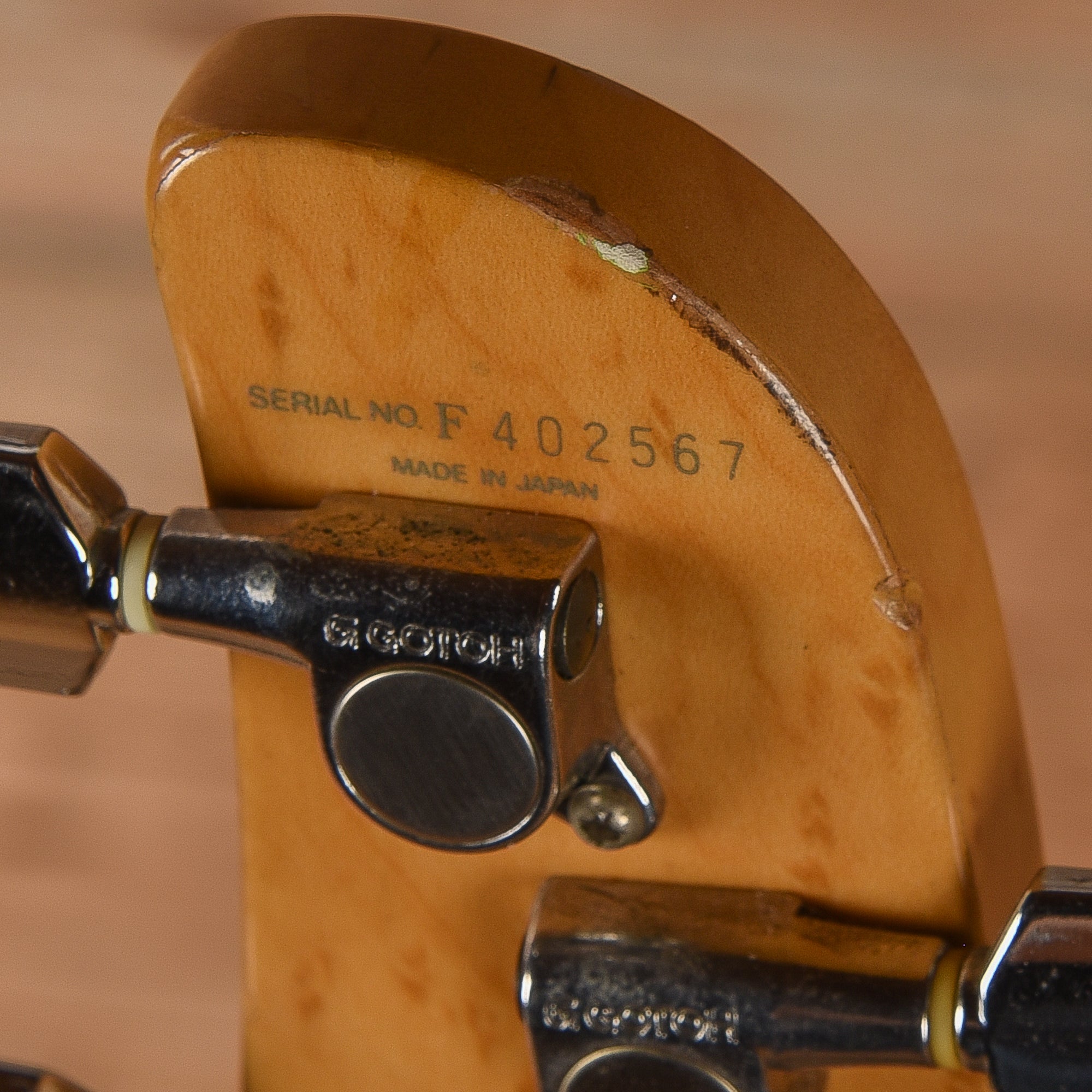 Ibanez Talman TC530 Black