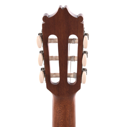 Ibanez GA2OAM Acoustic Guitar Open Pore Amber