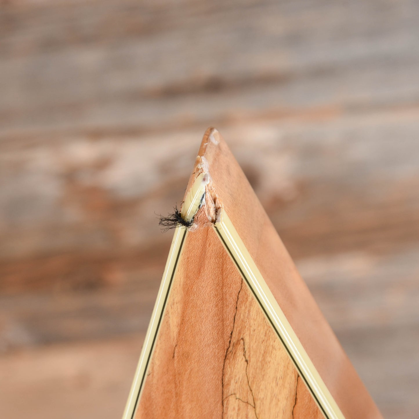 B.C. Rich Paolo Gregoletto Signature Warlock Bass Spalted Maple 2011