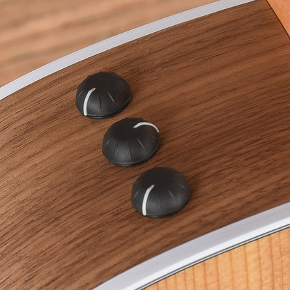 Taylor 210ce Dreadnought Torrified Spruce/Rosewood Natural ES2