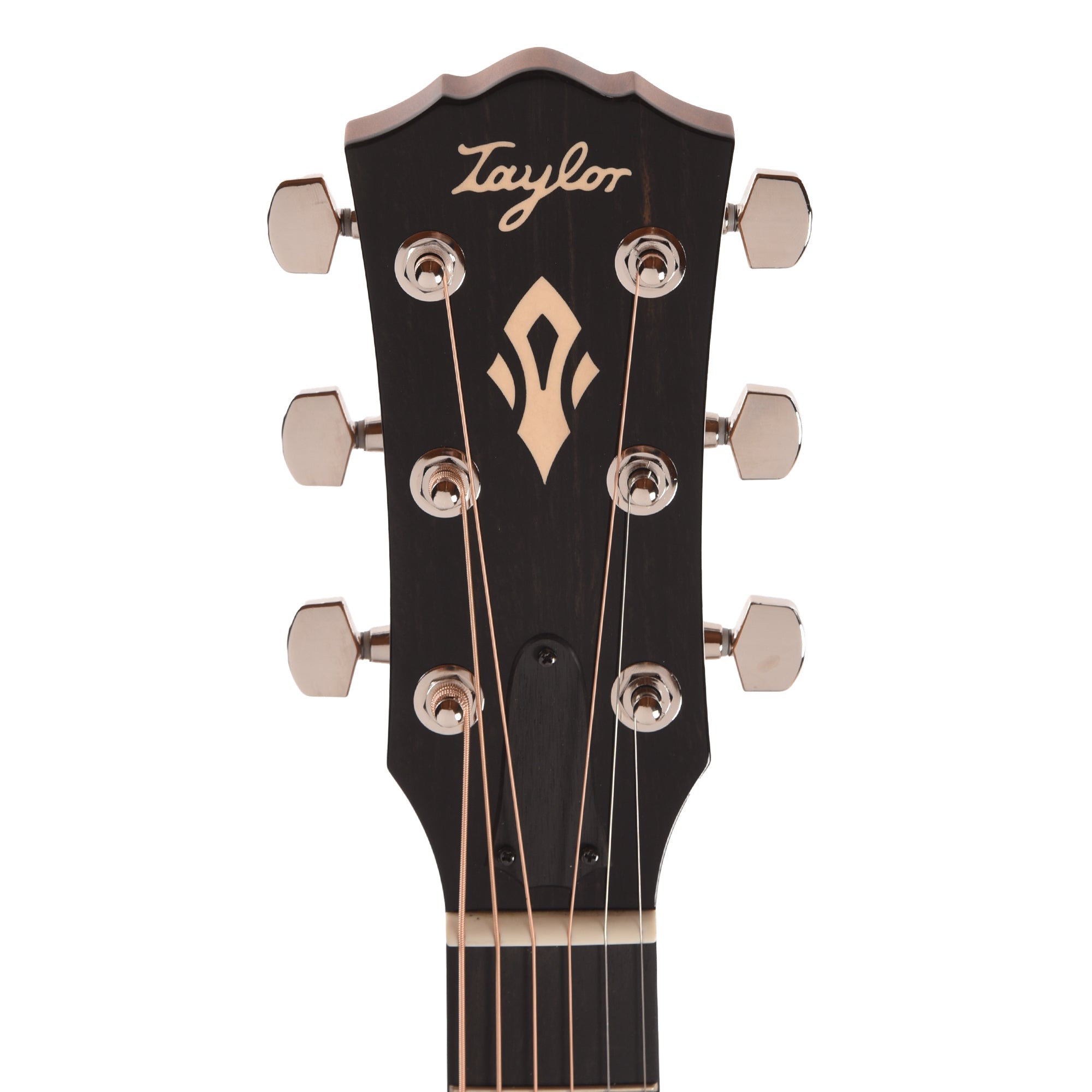 Taylor Gold Label 517e Grand Pacific Torrefied Sitka/Neo-Tropical Mahogany Blacktop w/L.R. Baggs VTC
