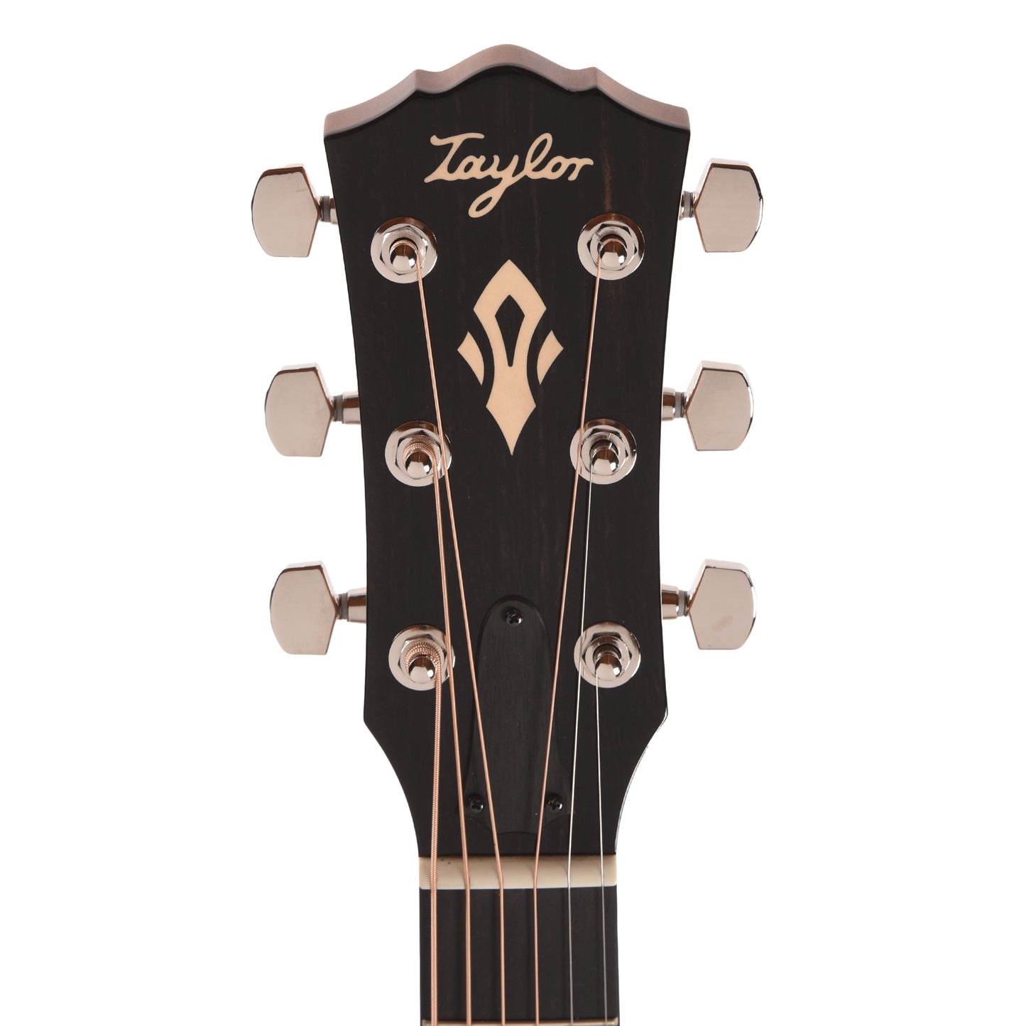 Taylor Gold Label 517e Grand Pacific Torrefied Sitka/Neo-Tropical Mahogany Blacktop w/L.R. Baggs VTC