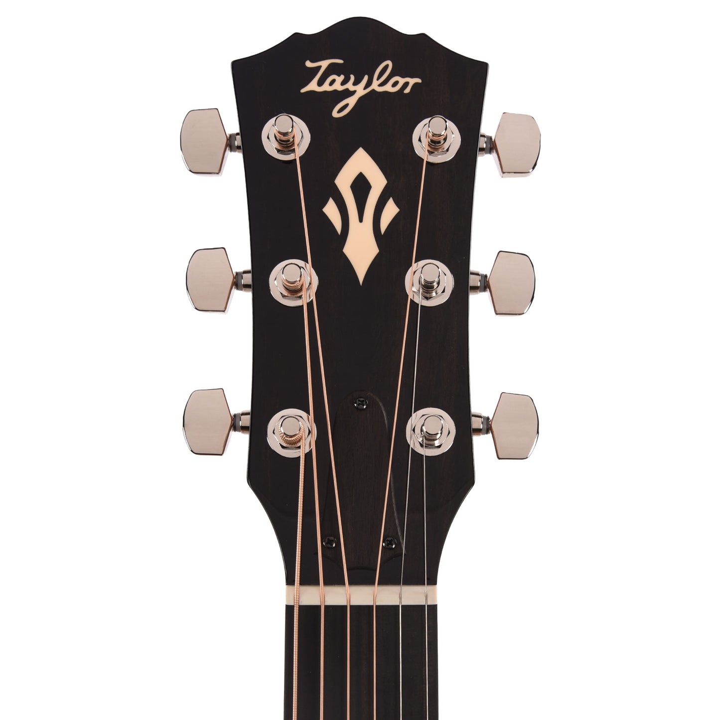 Taylor Gold Label 514e Super Auditorium Torrefied Spruce/Mahogany Natural w/L.R. Baggs VTC