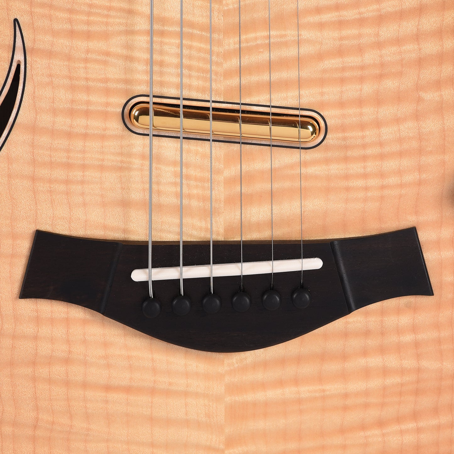 Taylor Custom "The Catch" #27 NAMM 2025 T5z Figured Maple/Urban Ash Antique Blond w/Black Back