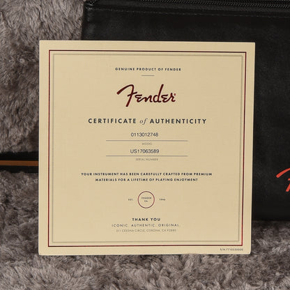 Fender American Professional Stratocaster Sonic Gray 2017