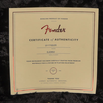 Fender Eric Johnson Stratocaster Black 2021