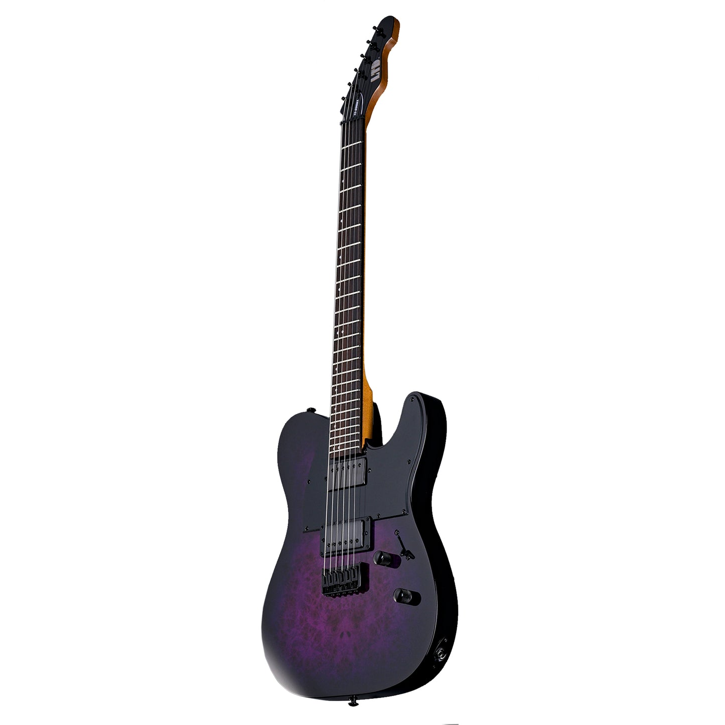 ESP LTD TE-200DX Electric Guitar Purple Burst