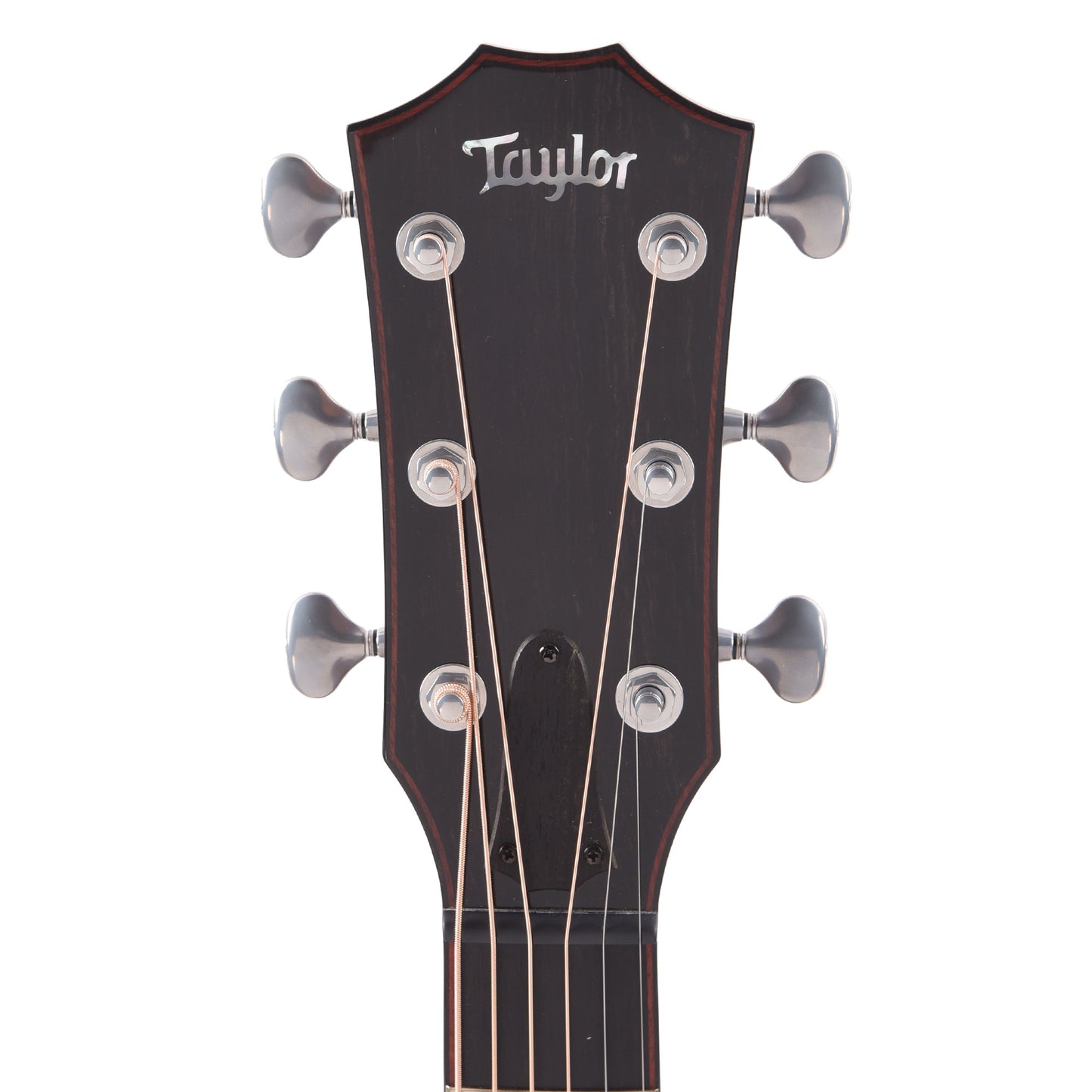 Taylor Custom "The Catch" NAMM 2024 #14 C14ce Grand Auditorium Bearclaw Sitka/AA Indian Rosewood Natural