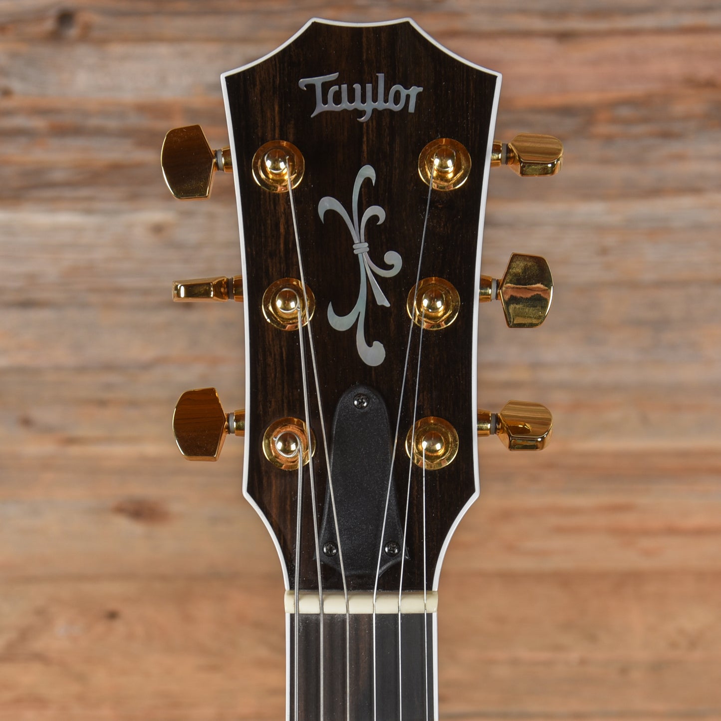 Taylor T5Z Natural 2021
