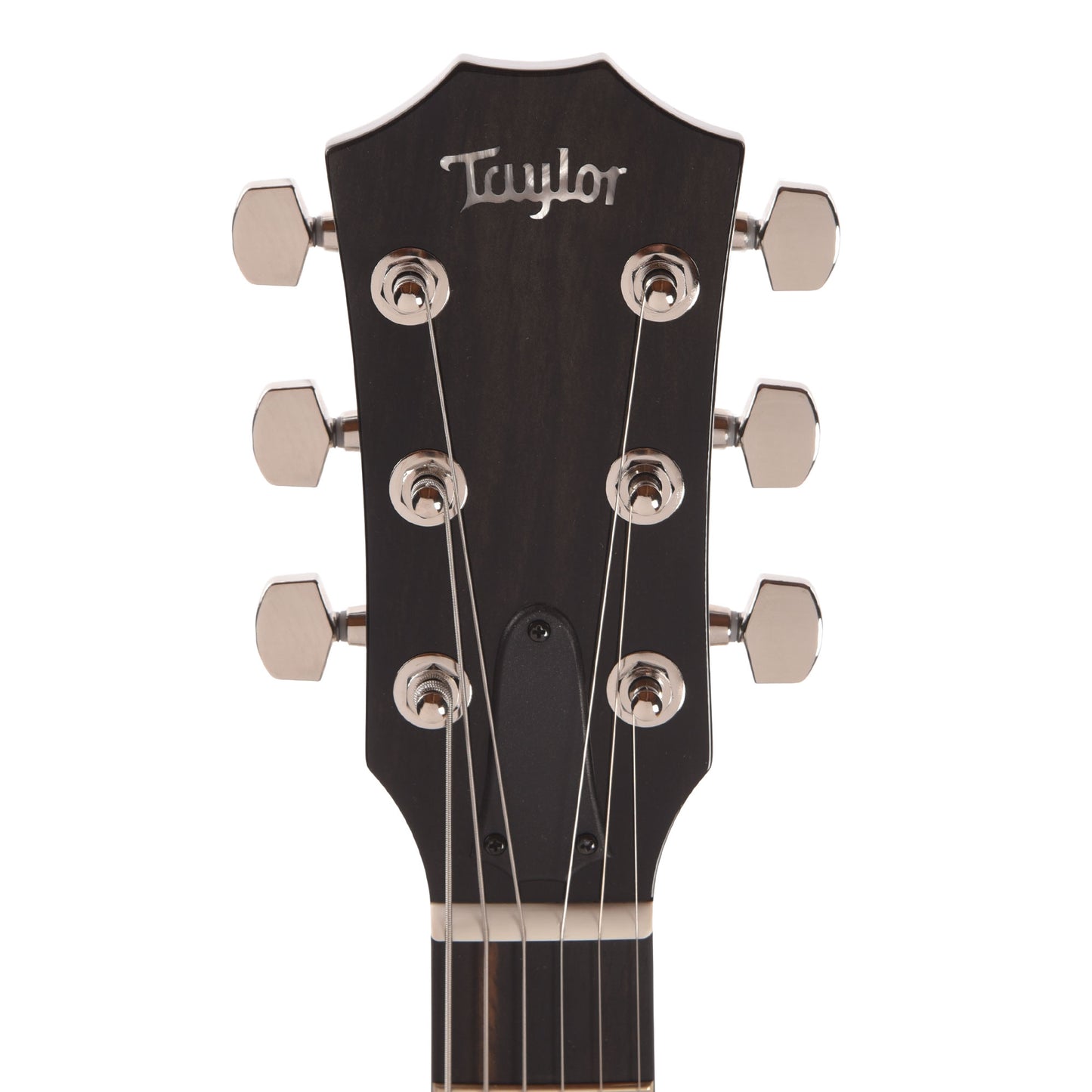 Taylor T5z Pro Figured Big Leaf Maple Harbor Blue