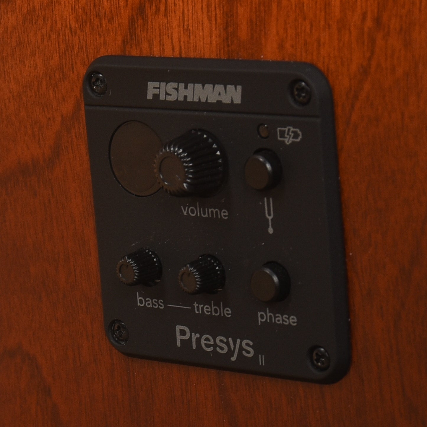 Seagull Entourage CW Presys II Sunburst