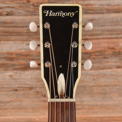 Harmony H6362 X-Braced Conversion Natural 1972