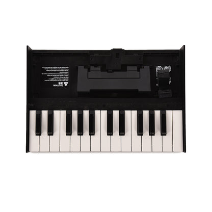Roland Boutique K-25m Portable Keyboard