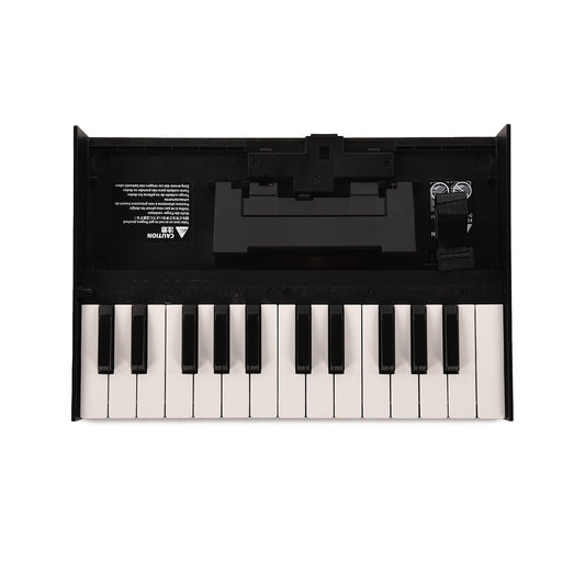 Roland Boutique K-25m Portable Keyboard