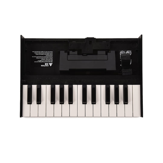 Roland Boutique K-25m Portable Keyboard