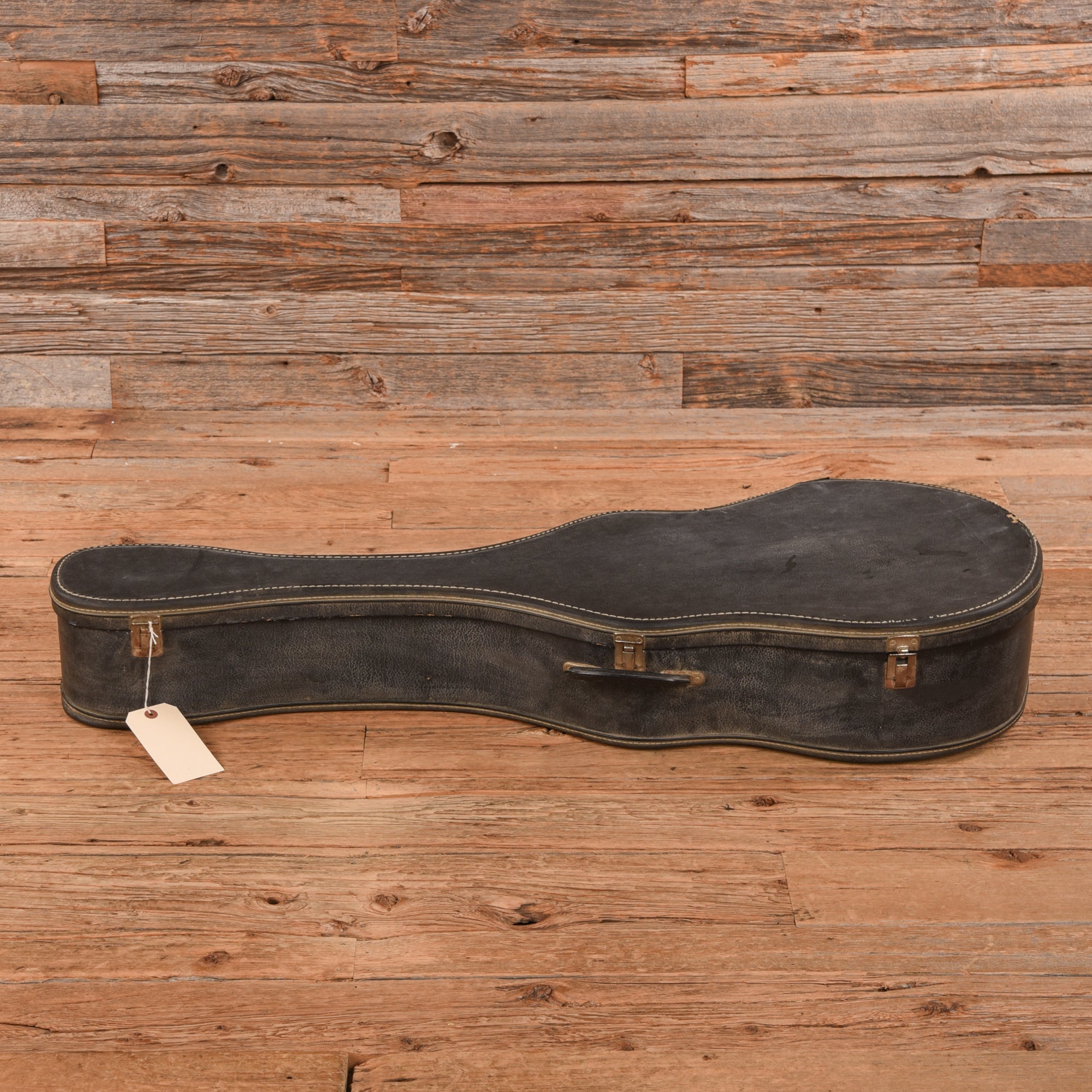 Harmony H6362 X-Braced Conversion Natural 1972