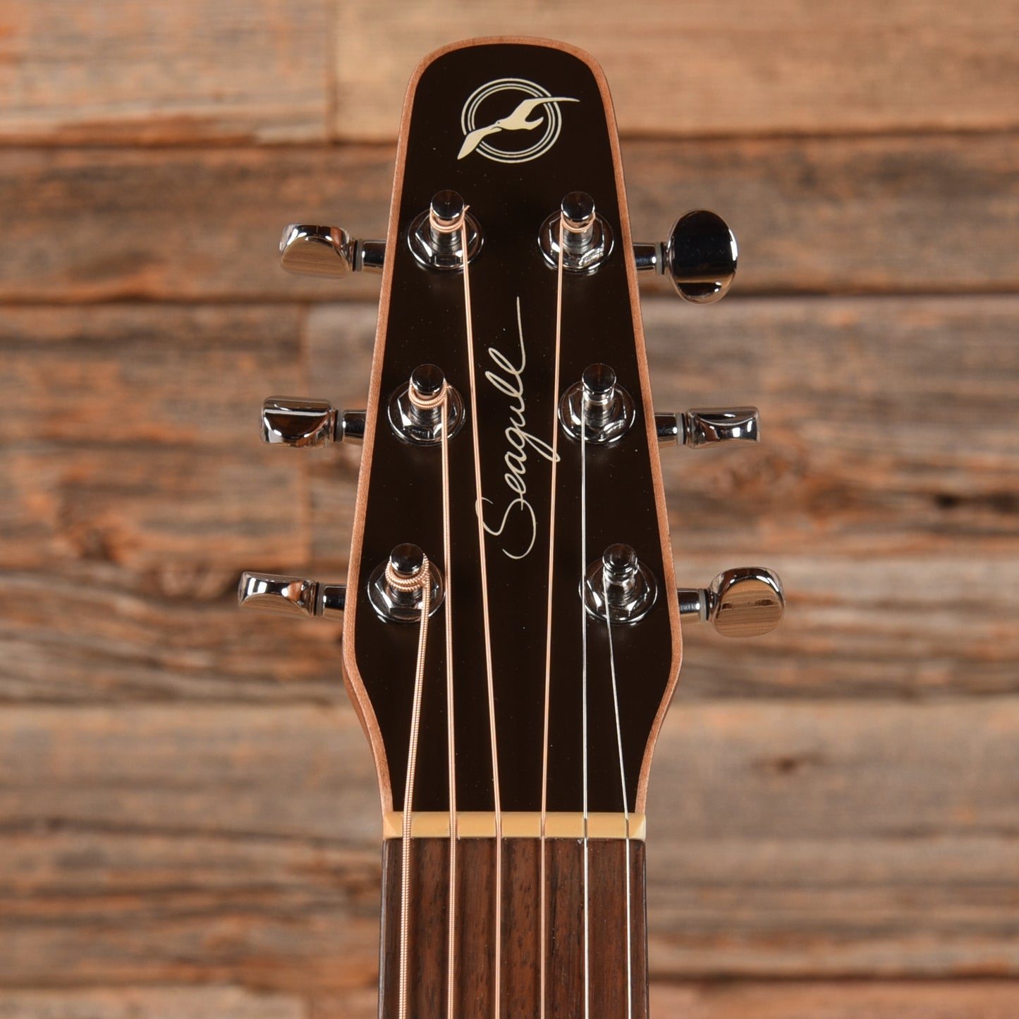 Seagull Coastline S6 Cedar Folk Natural