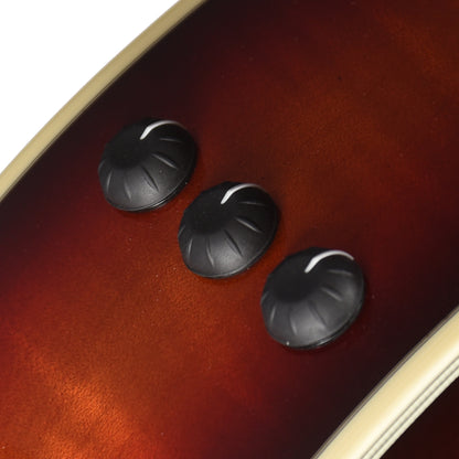 Taylor Custom "The Catch" #18 NAMM 2025 Grand Auditorium Lutz Spruce/Maple Desert Dawn ES2