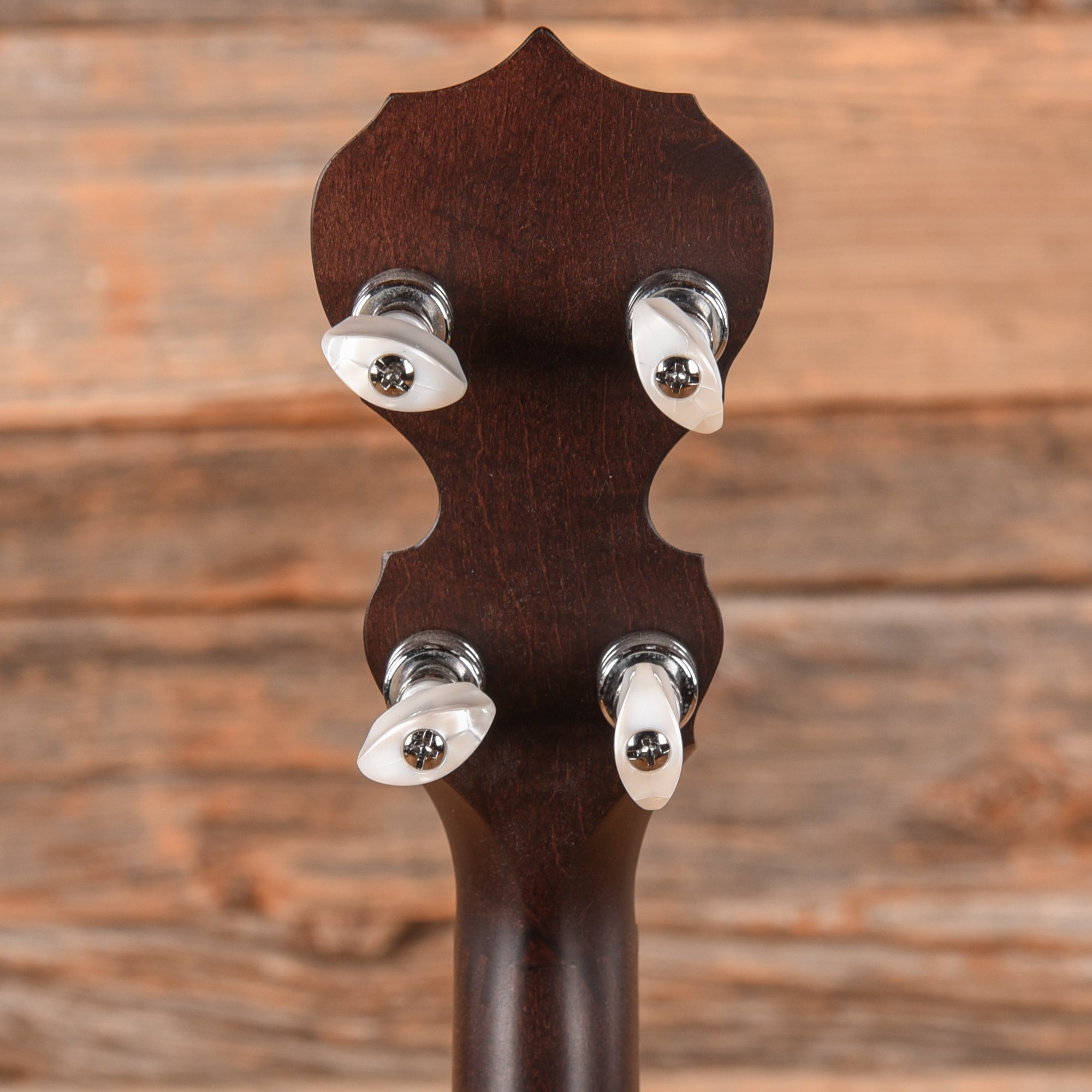 Deering Artisan Goodtime Special 19-Fret Tenor Banjo Brown 2021