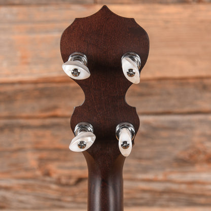 Deering Artisan Goodtime Special 19-Fret Tenor Banjo Brown 2021