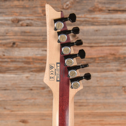 Ibanez RGAIX6FM-WFF Iron Label White Frost Flat 2019