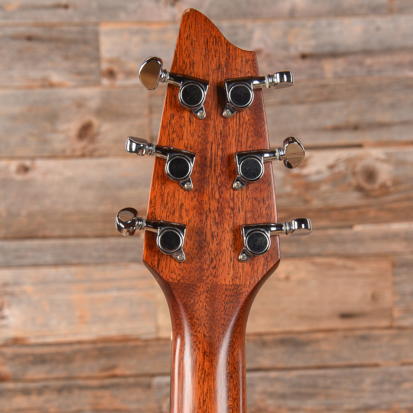 Breedlove Passport D20 FS Natural